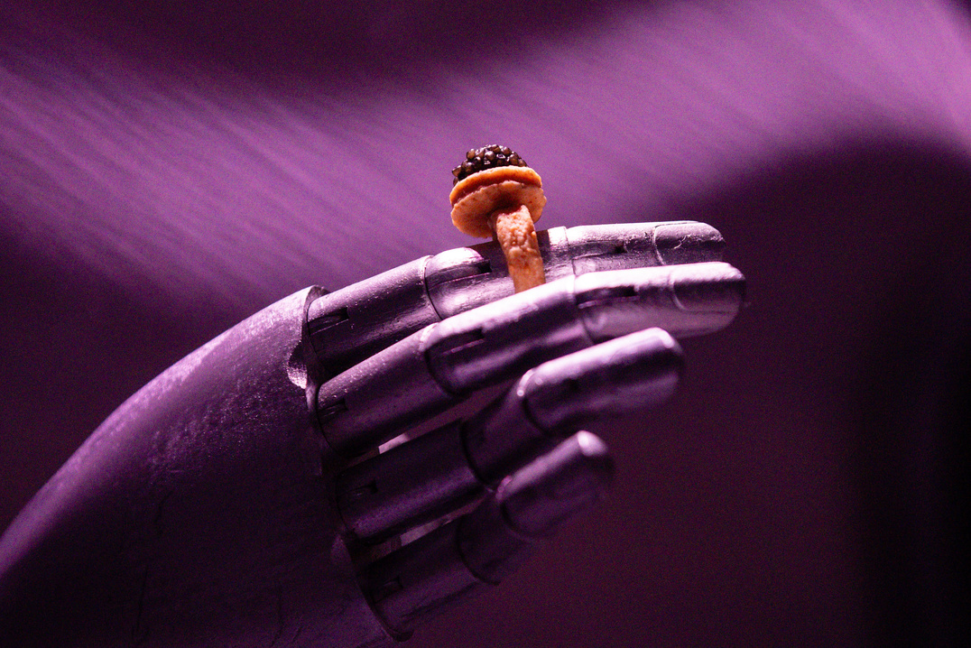 Valgomas žiedas ant violetinės manekeno rankos